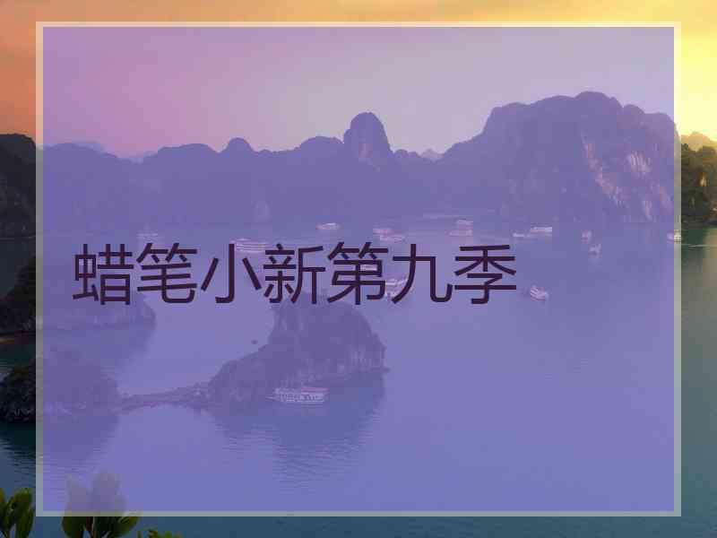 蜡笔小新第九季