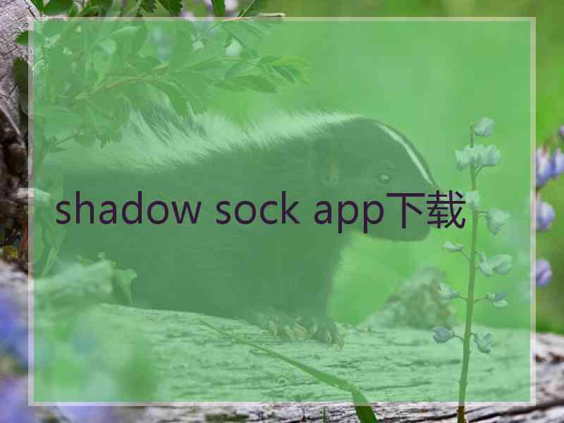 shadow sock app下载