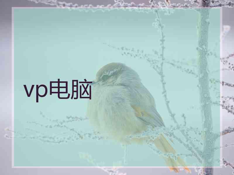 vp电脑