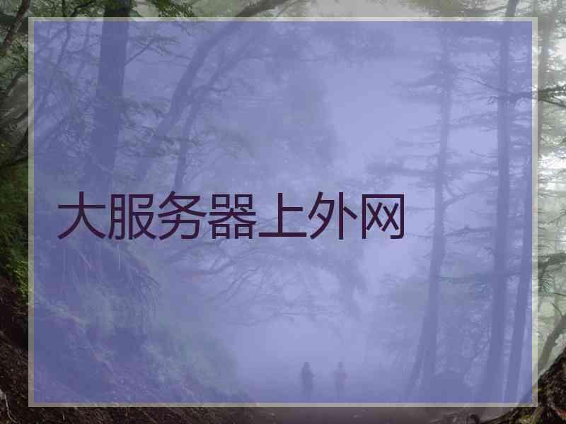 大服务器上外网