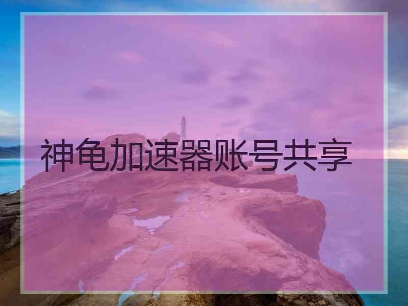 神龟加速器账号共享