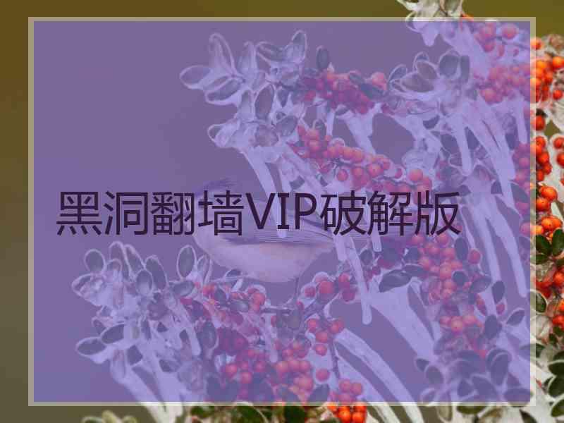 黑洞翻墙VIP破解版