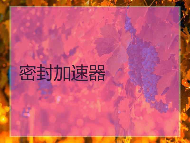 密封加速器