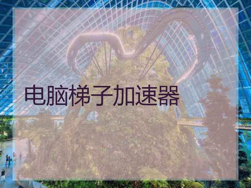 电脑梯子加速器
