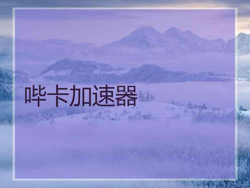 哔卡加速器