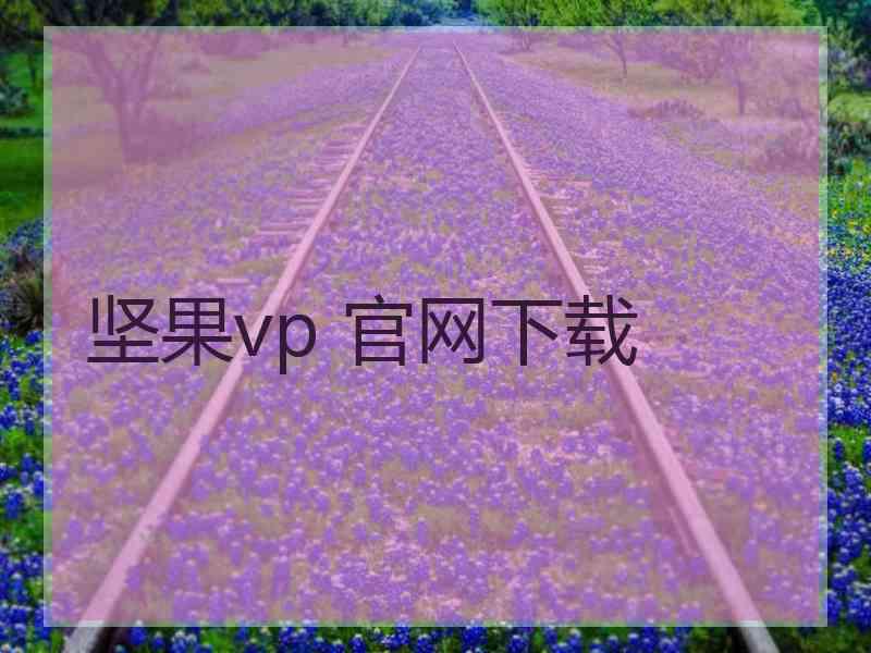 坚果vp 官网下载