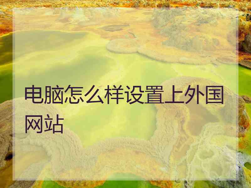 电脑怎么样设置上外国网站