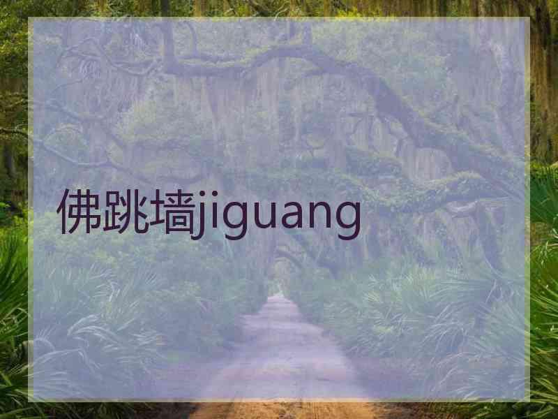 佛跳墙jiguang