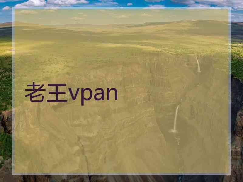 老王vpan
