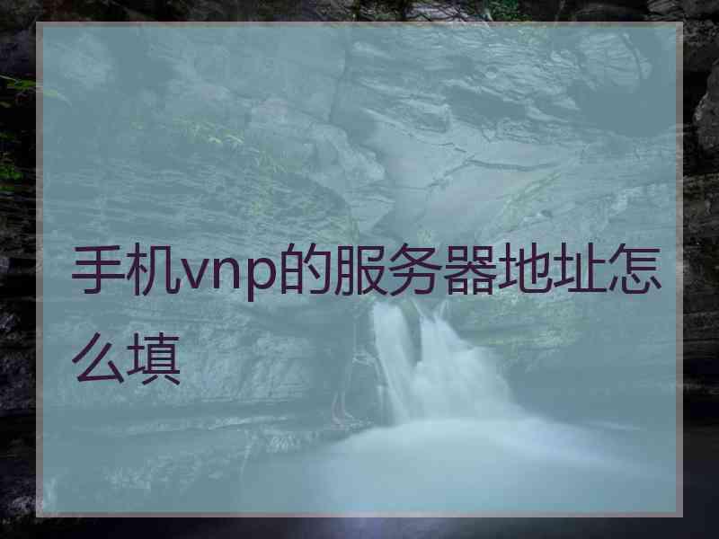 手机vnp的服务器地址怎么填