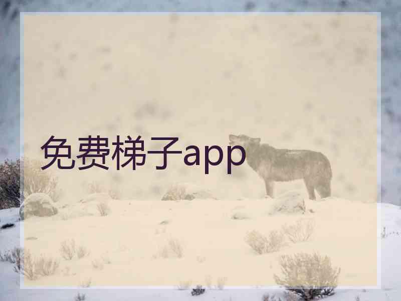 免费梯子app
