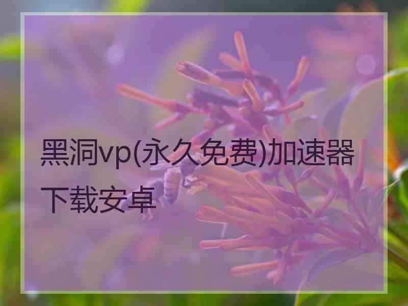黑洞vp(永久免费)加速器下载安卓
