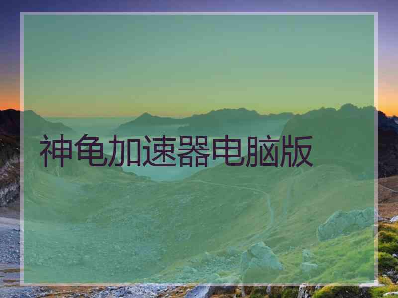 神龟加速器电脑版