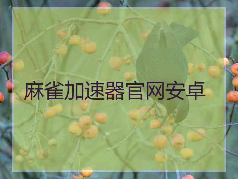 麻雀加速器官网安卓