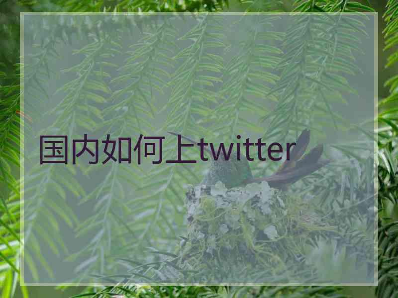 国内如何上twitter