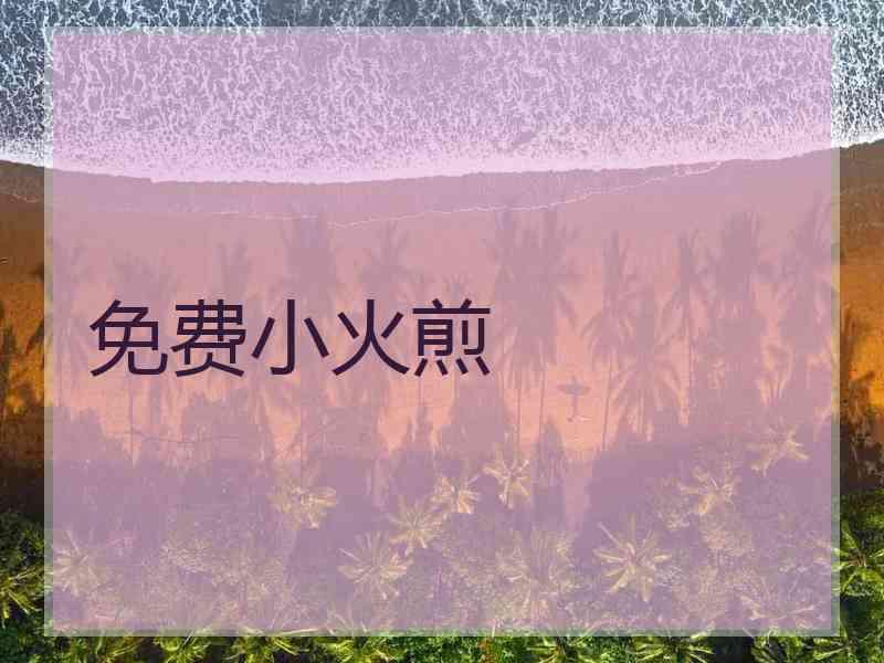 免费小火煎