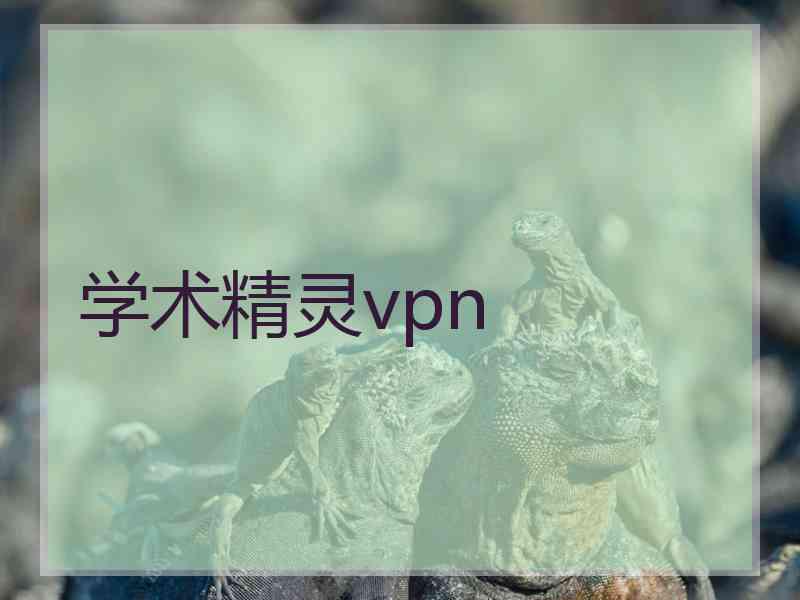 学术精灵vpn