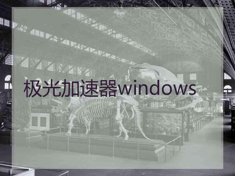 极光加速器windows
