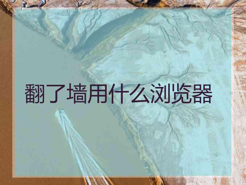 翻了墙用什么浏览器