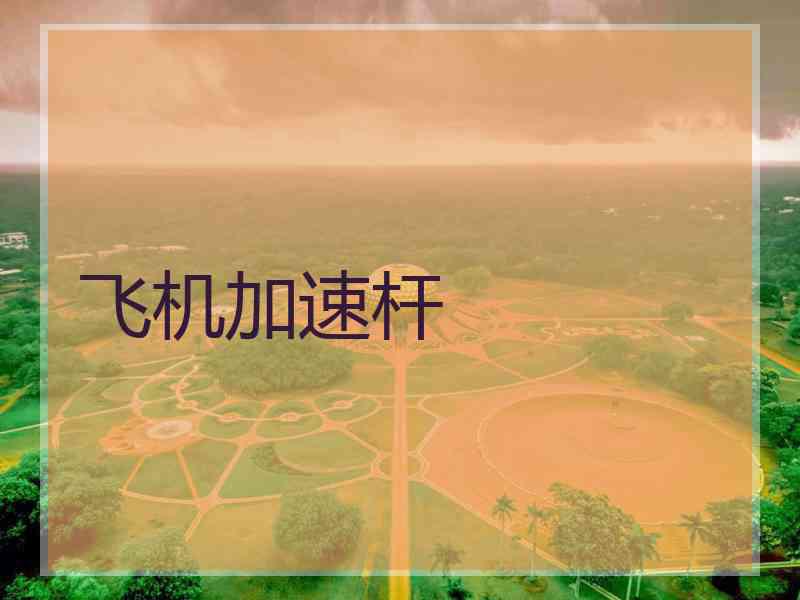 飞机加速杆