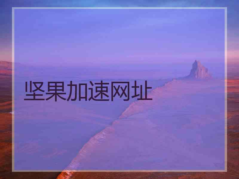 坚果加速网址