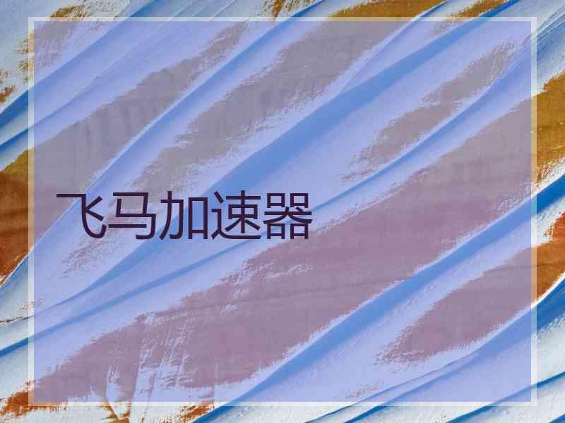 飞马加速器
