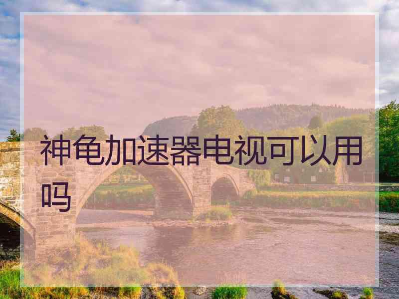 神龟加速器电视可以用吗