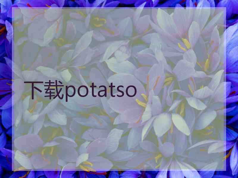 下载potatso