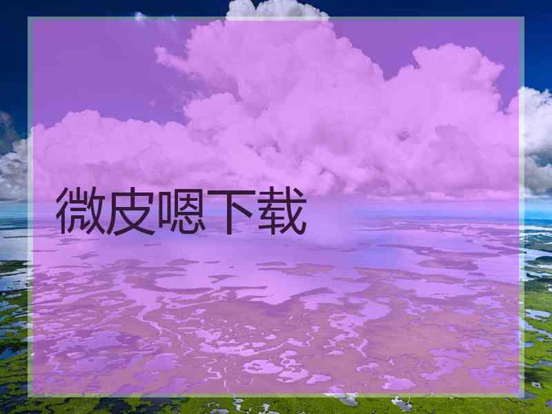 微皮嗯下载