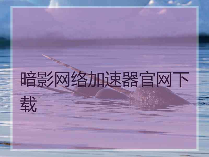 暗影网络加速器官网下载