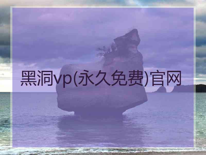 黑洞vp(永久免费)官网