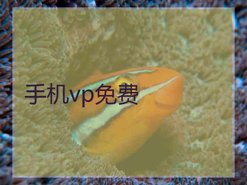 手机vp免费