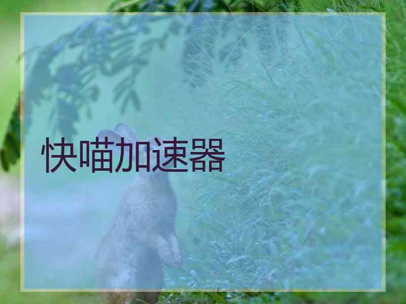 快喵加速器