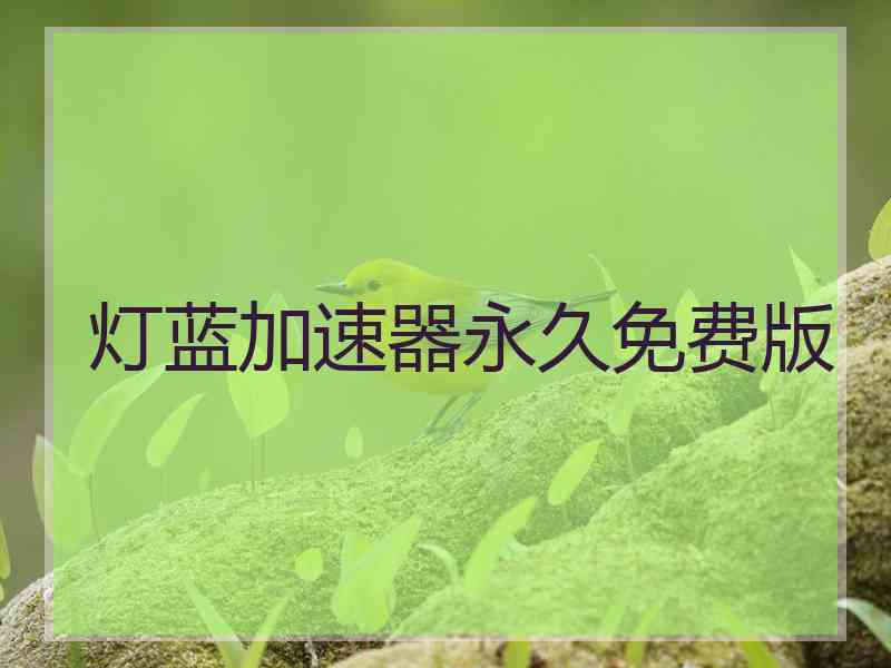 灯蓝加速器永久免费版