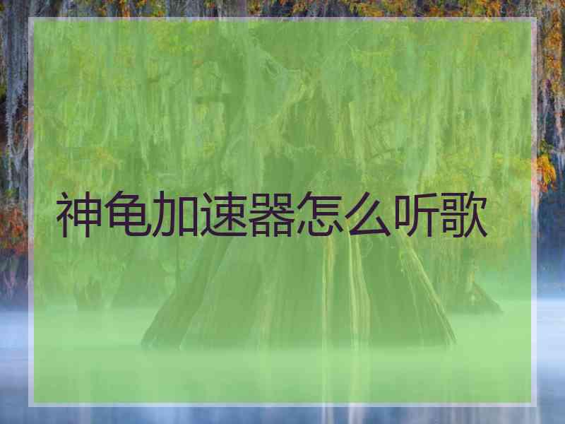神龟加速器怎么听歌