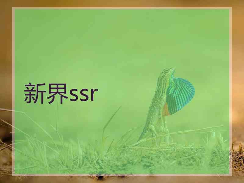 新界ssr