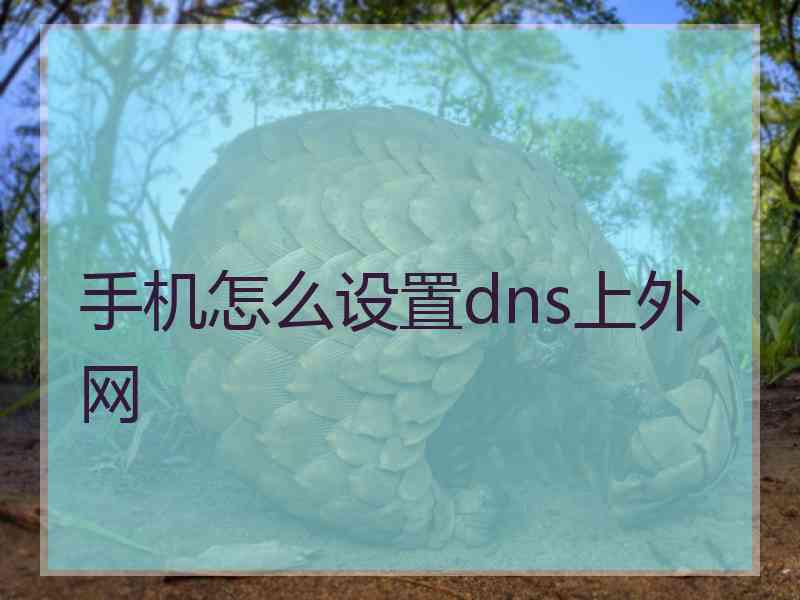 手机怎么设置dns上外网