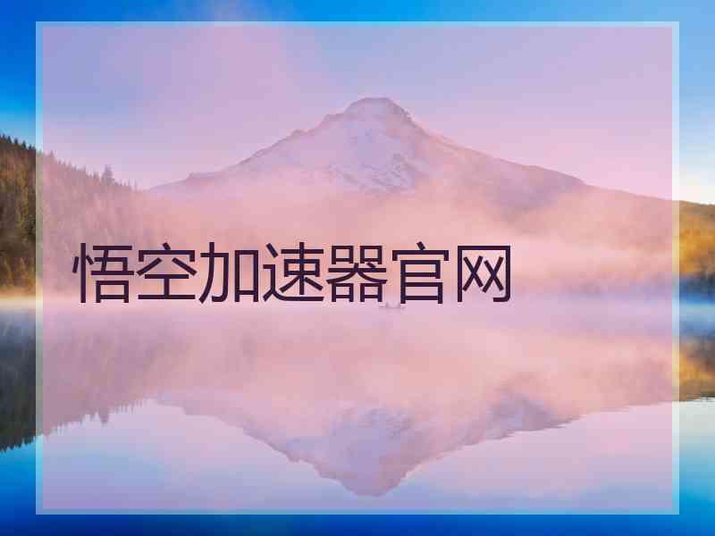 悟空加速器官网