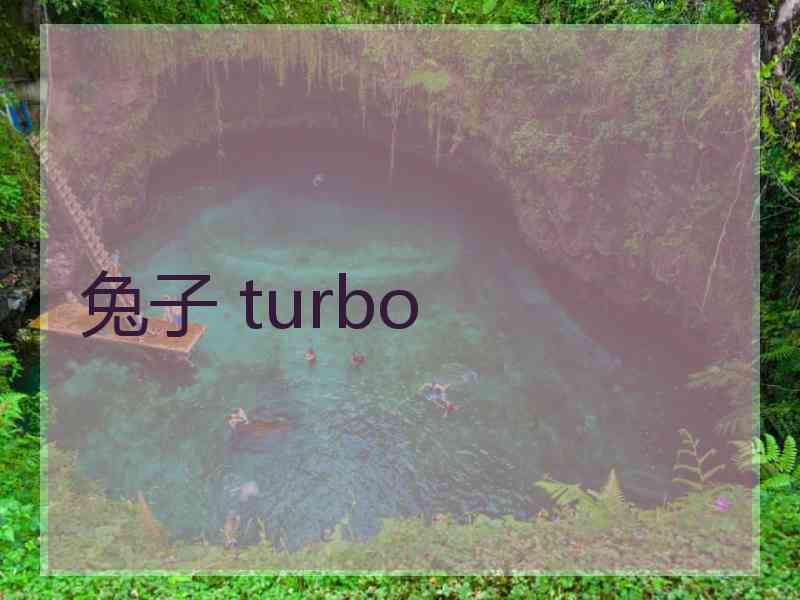 兔子 turbo