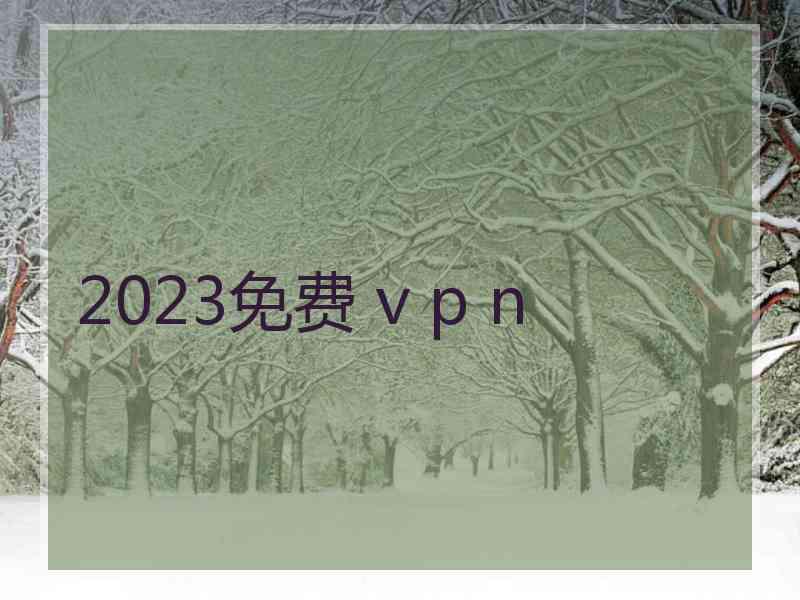 2023免费 v p n