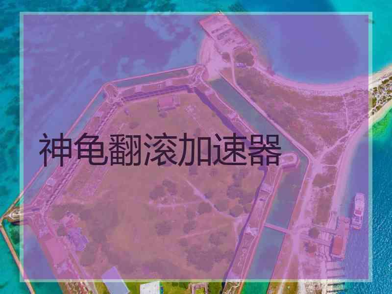 神龟翻滚加速器