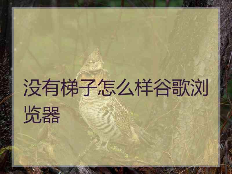 没有梯子怎么样谷歌浏览器