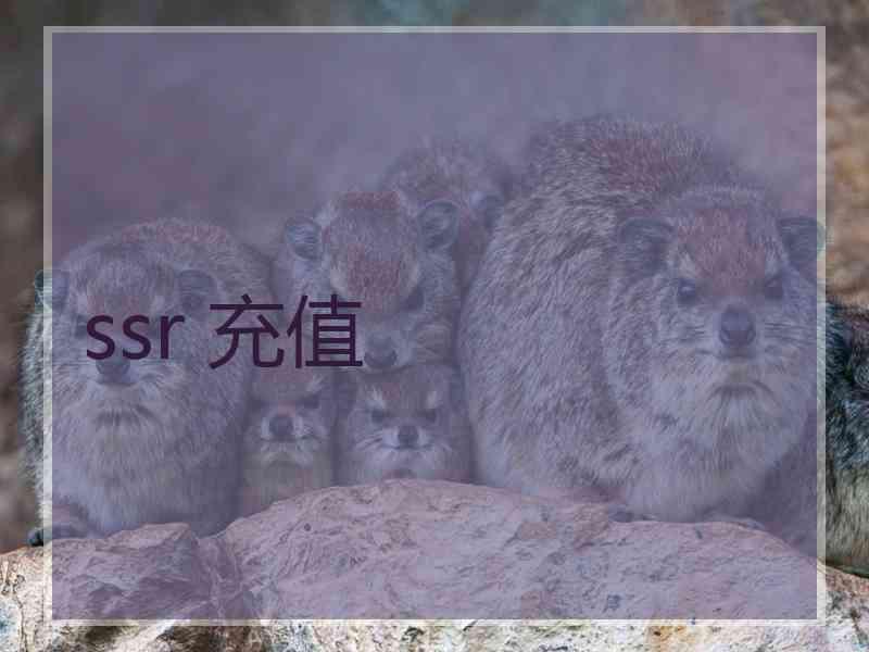 ssr 充值