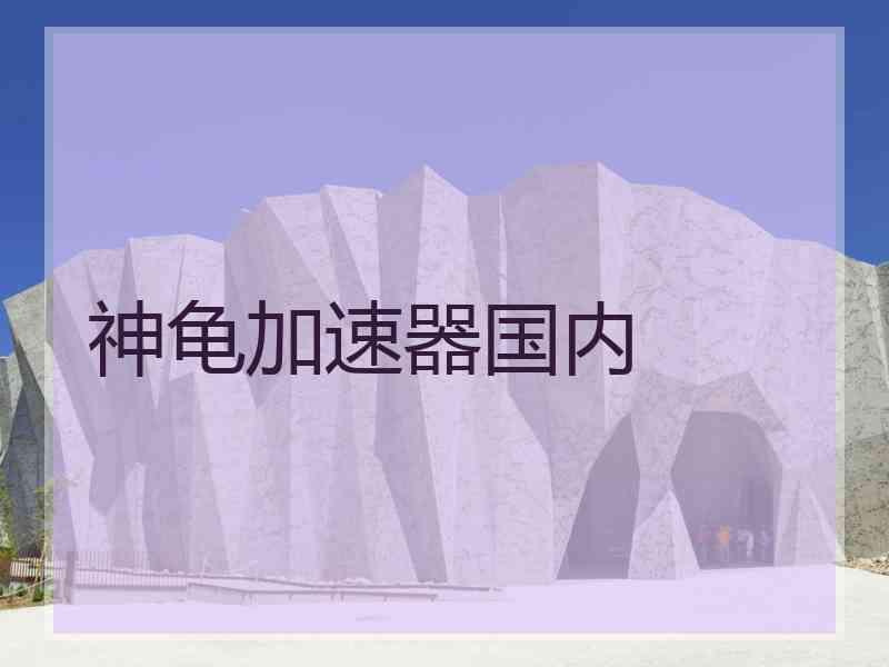 神龟加速器国内
