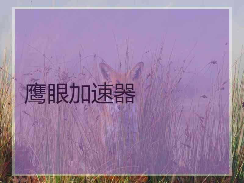 鹰眼加速器