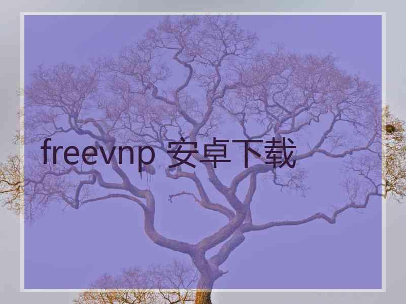 freevnp 安卓下载