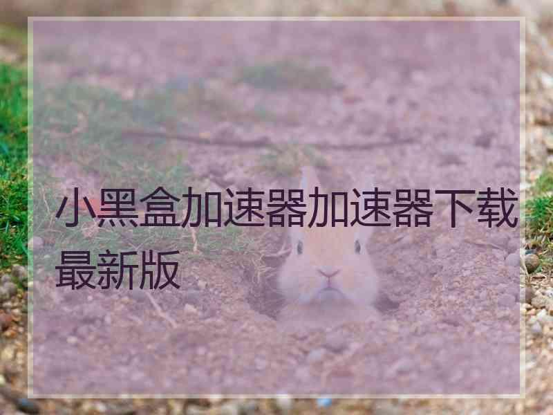 小黑盒加速器加速器下载最新版