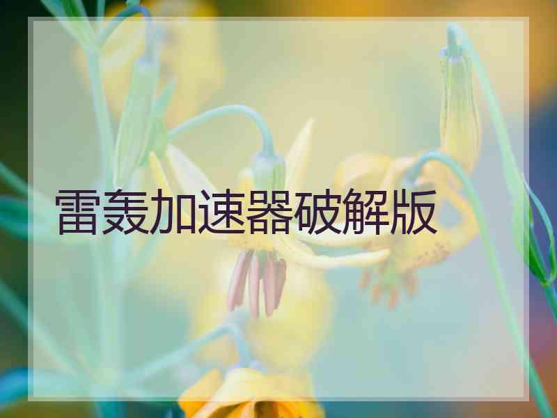 雷轰加速器破解版