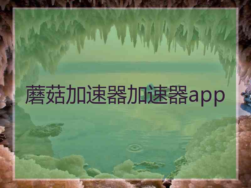 蘑菇加速器加速器app