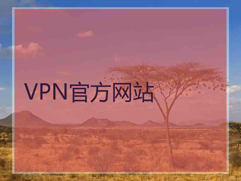 VPN官方网站